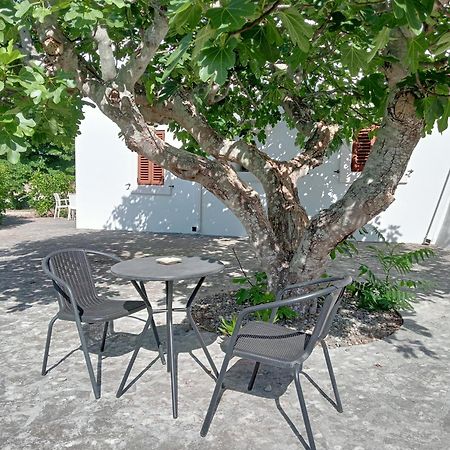 B&B Villa Rosanna Fasano Exterior photo