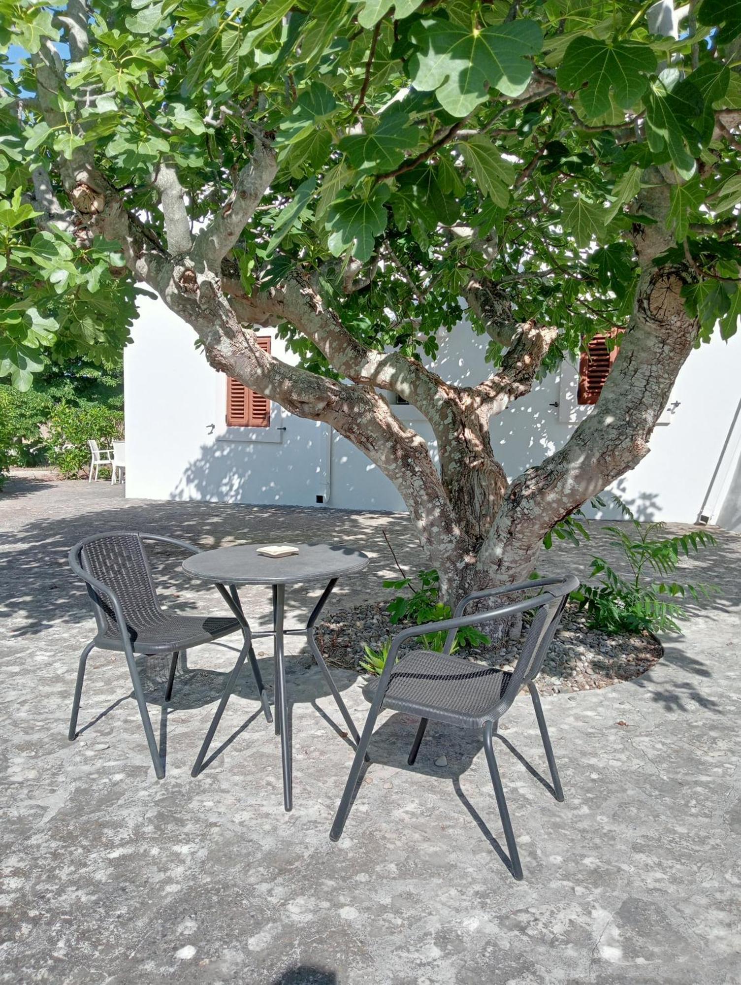 B&B Villa Rosanna Fasano Exterior photo